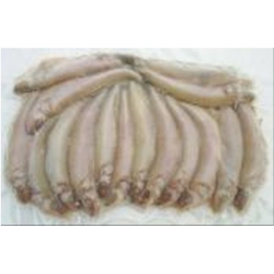 Smelts Bulk (16+ per pk) Smelts Bulk (16+ per pk)